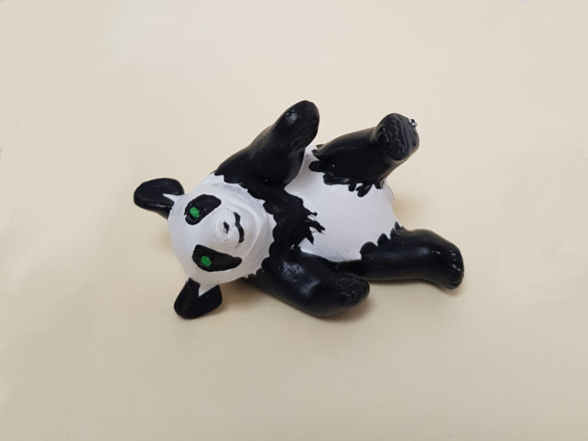 Großer Panda, liegend
