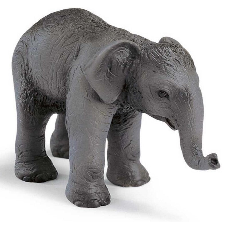 Schleich 14343 Asiatisches Elefantenbaby