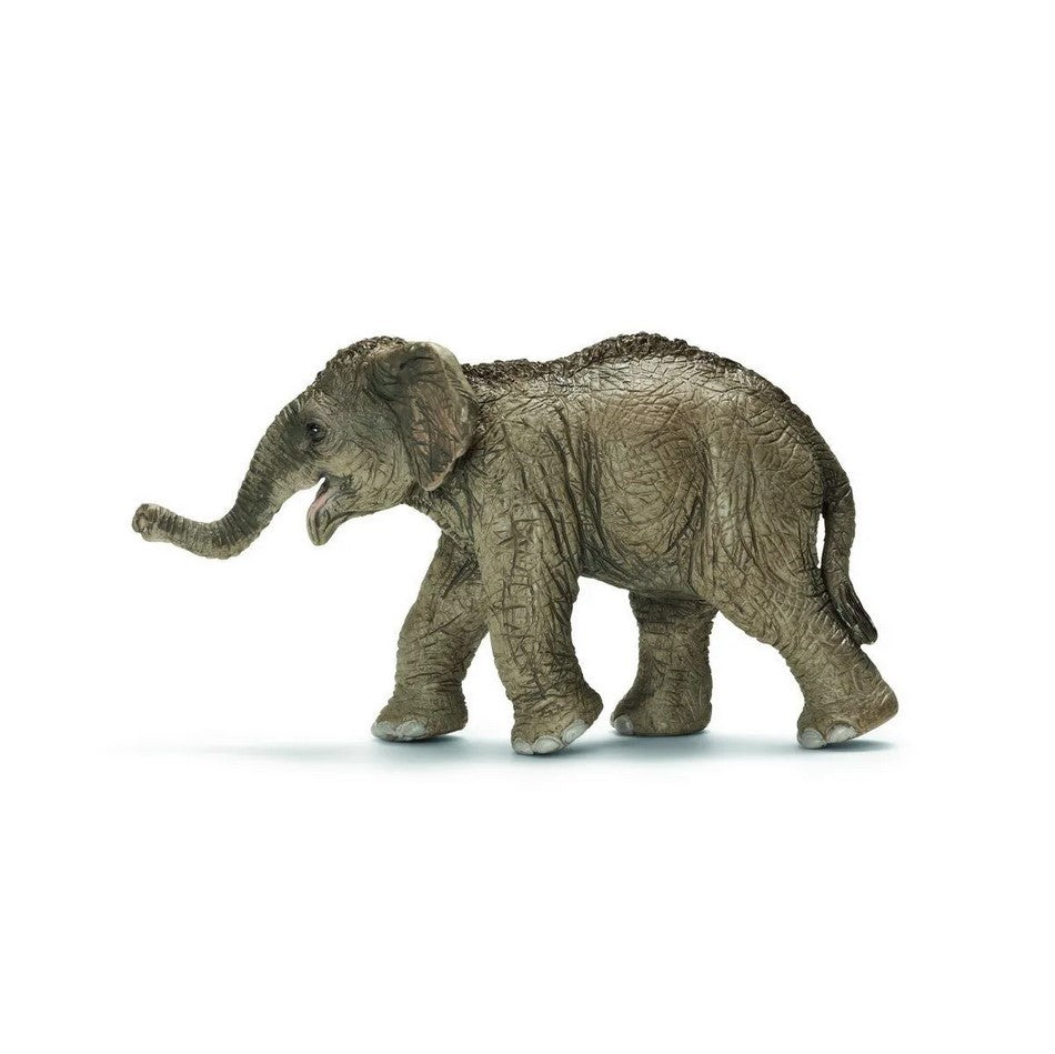 Schleich 14655 Asiatisches Elefantenbaby