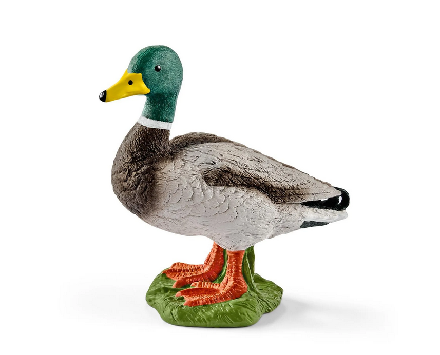 Schleich 13824 Erpel