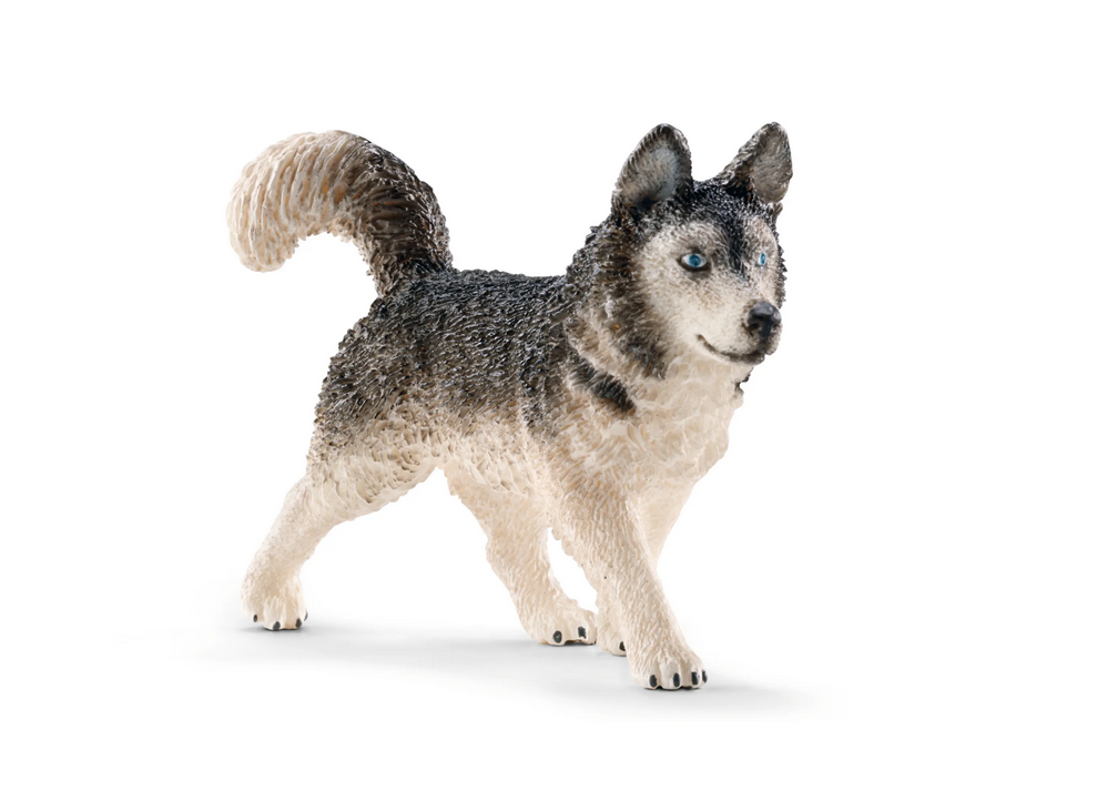 Schleich 16835 Husky