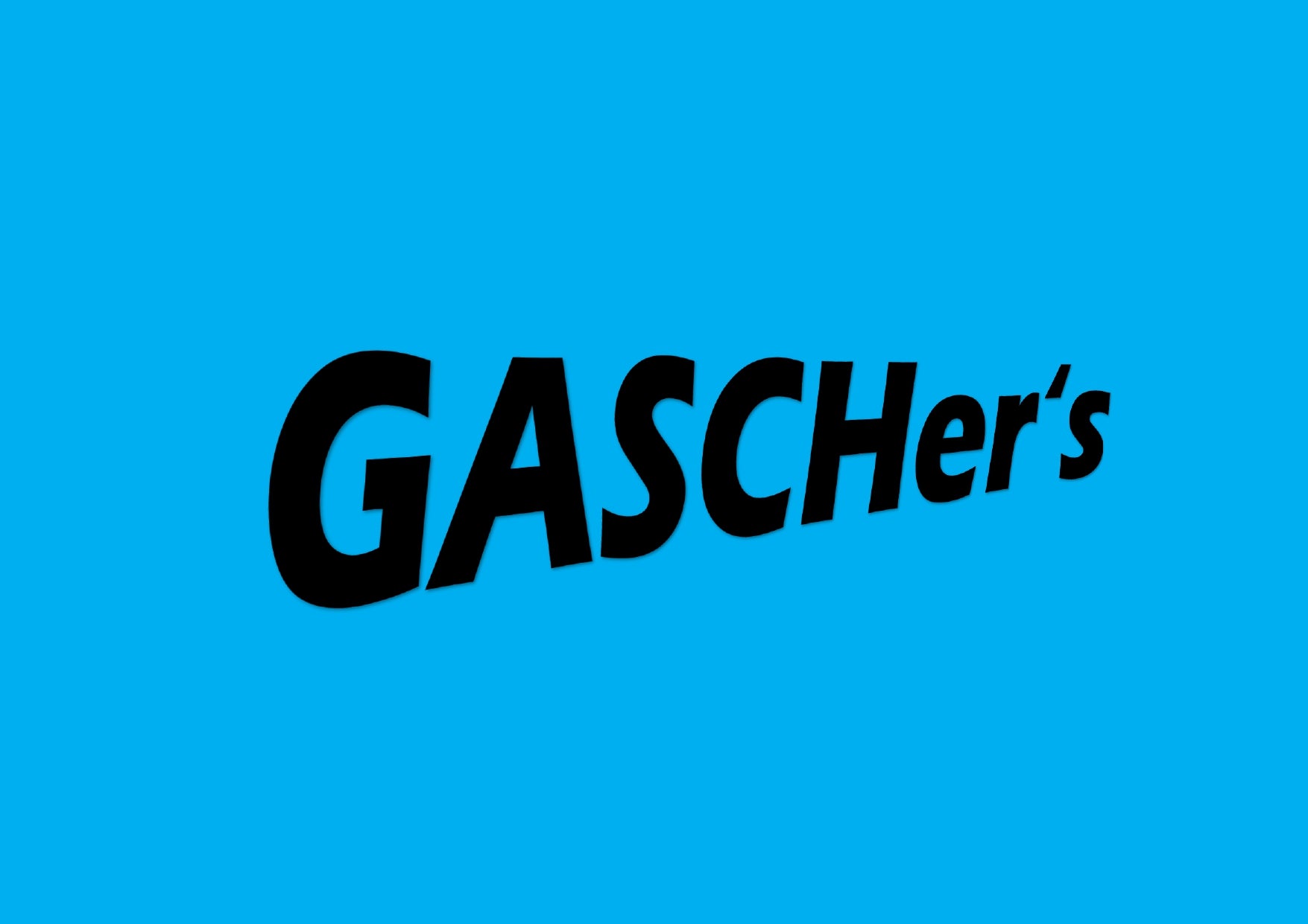 GASCHer's Onlineshop seit über 20 Jahren 