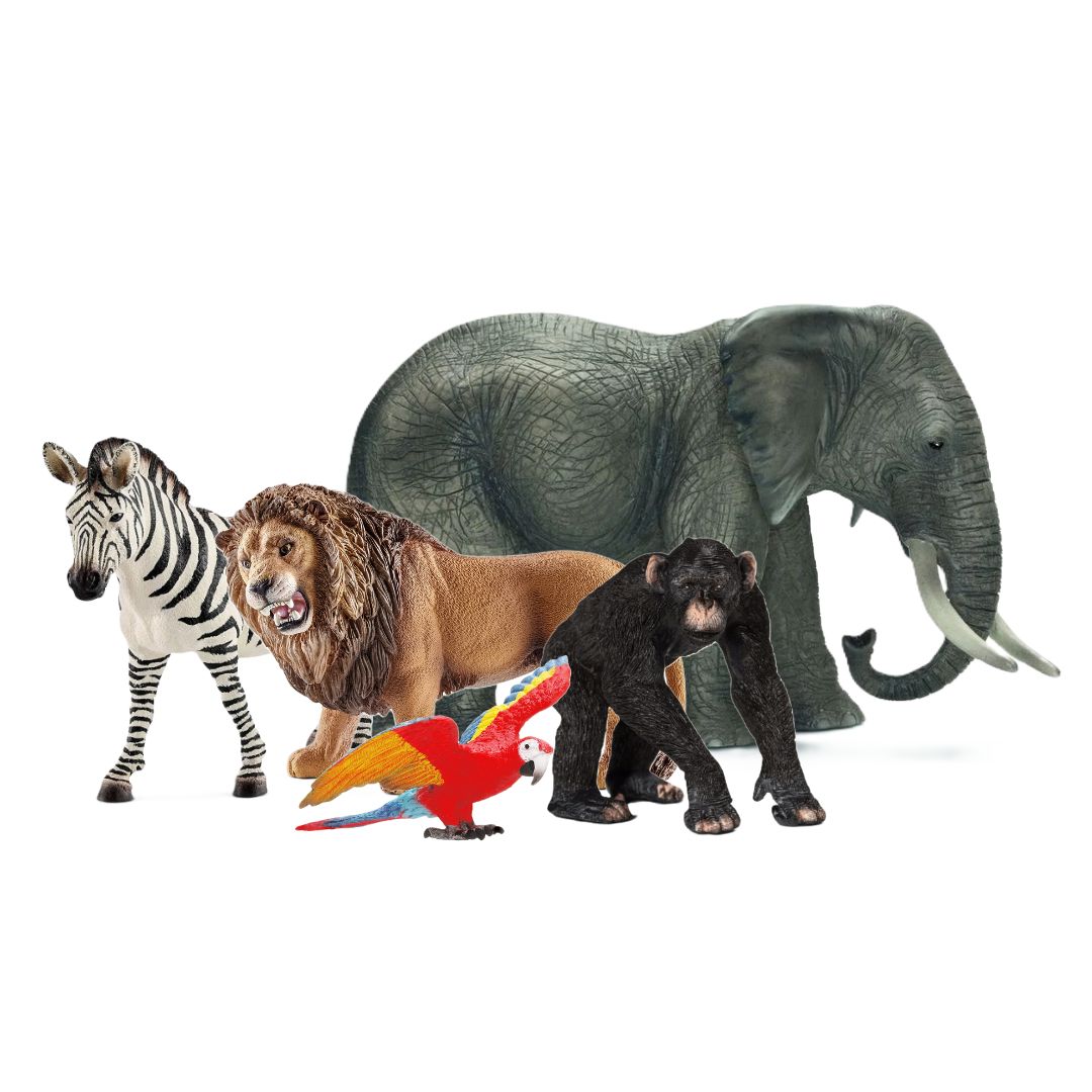 Schleich Wild Life Flash Cards 9-Piece Animal Playset - Educational Toys For Kids Ages 3-8