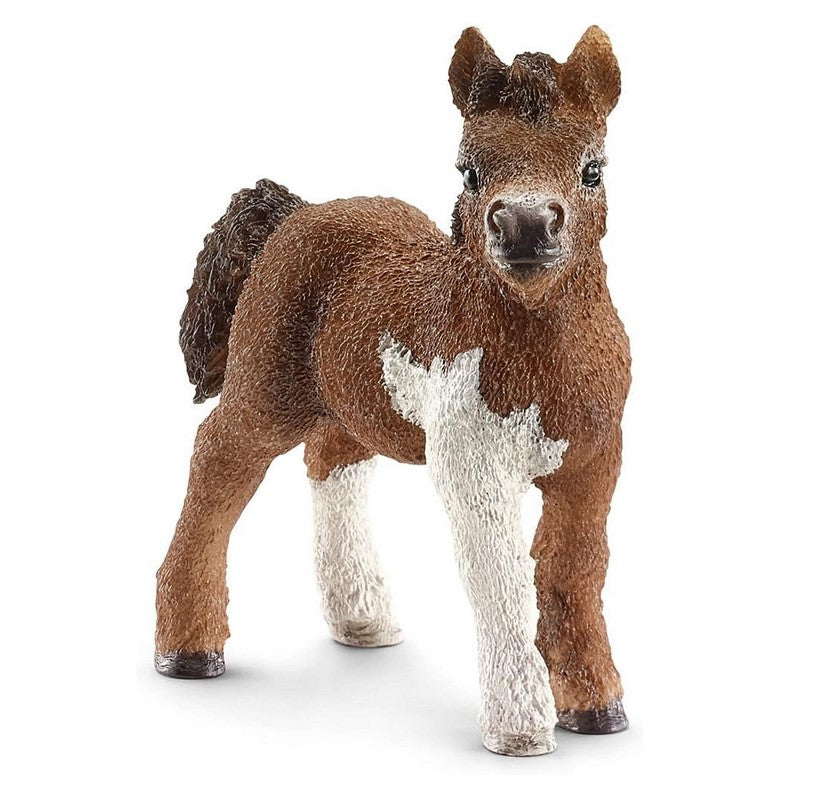 Schleich OF13752   Shetland Pony Fohlen