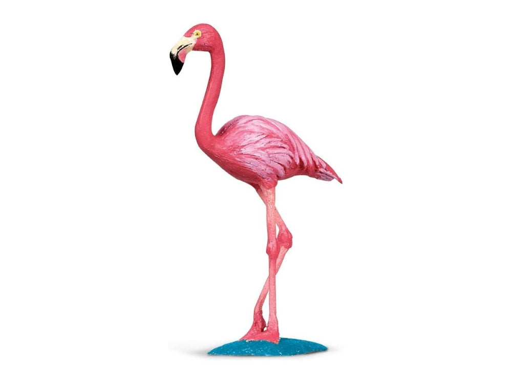 SAFARI | Flamingo  Safari   